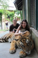 Tygr se nechal fotit, drbat - no úplný beránek :-) | Thailand - Chiang Mai - Atrakce - 7.8.2010